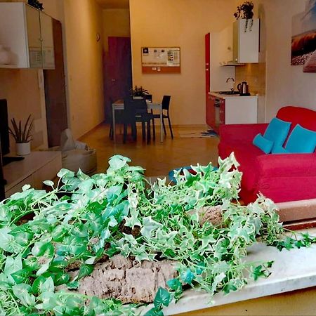 Brisa Marina Apartment Αλγκέρο Εξωτερικό φωτογραφία